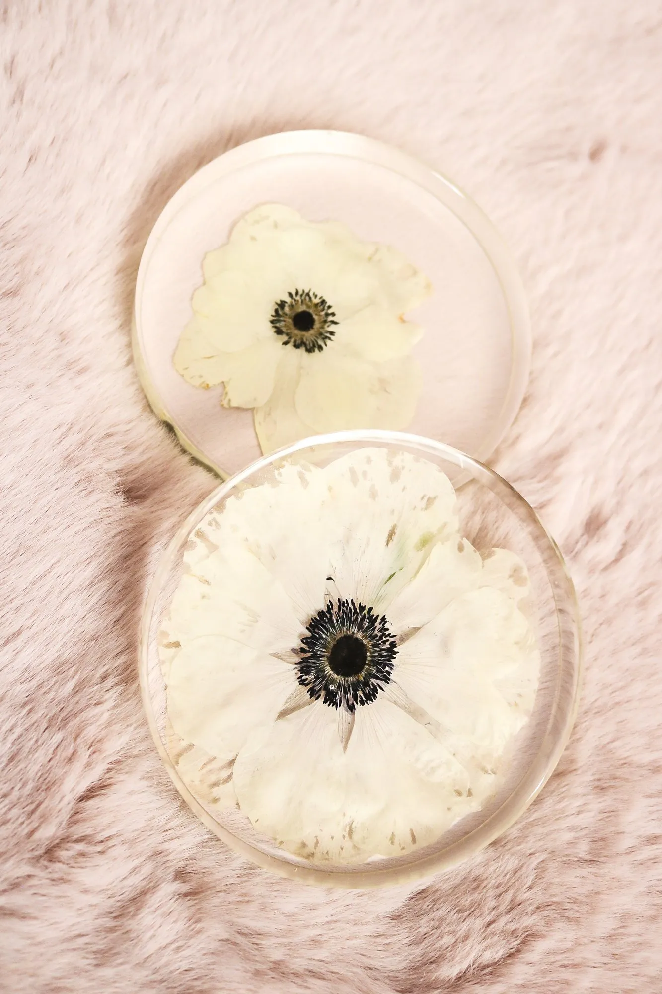 Wedding flowers preserved in set of coasters