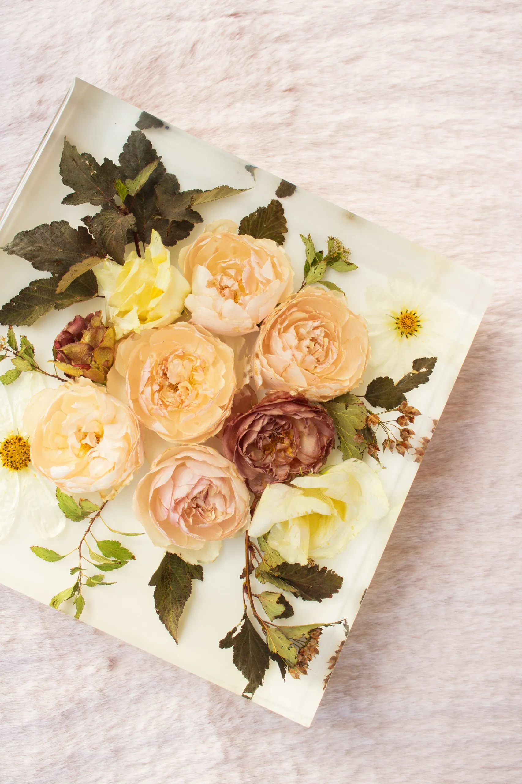 8x8 block with white background